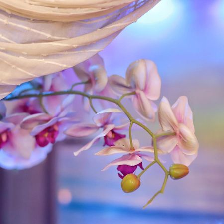 Dream & Relax Villa Fiore Бари Екстериор снимка